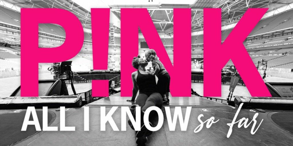 la locandina del documentario su pink "all i know so far"